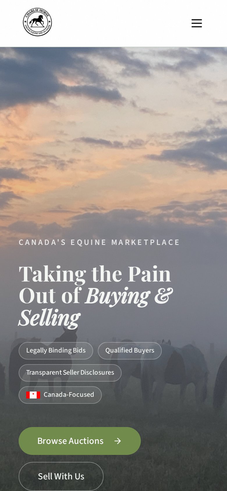 Charlie Horse Sales mobile website layout by Algorank